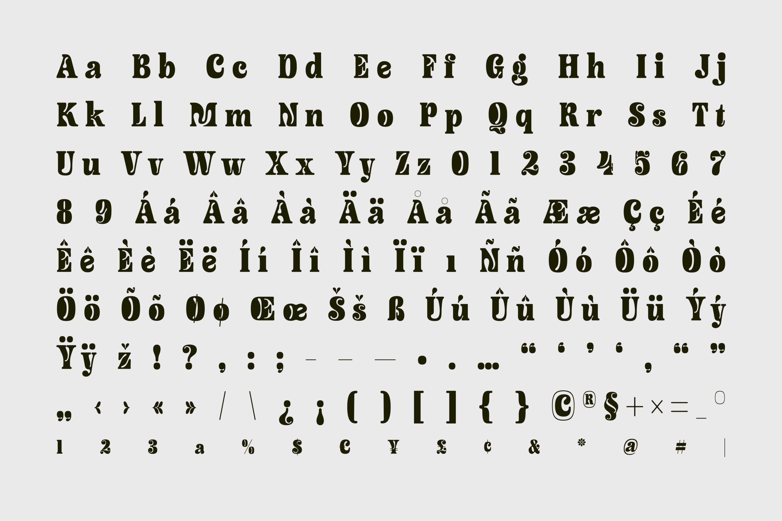 Serif typeface character set with uppercase, lowercase, numbers, accents plus symbols on gray background