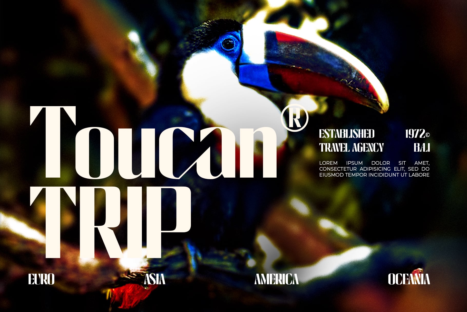 Toucan trip travel agency mockup with bold typography over tropical bird imagery