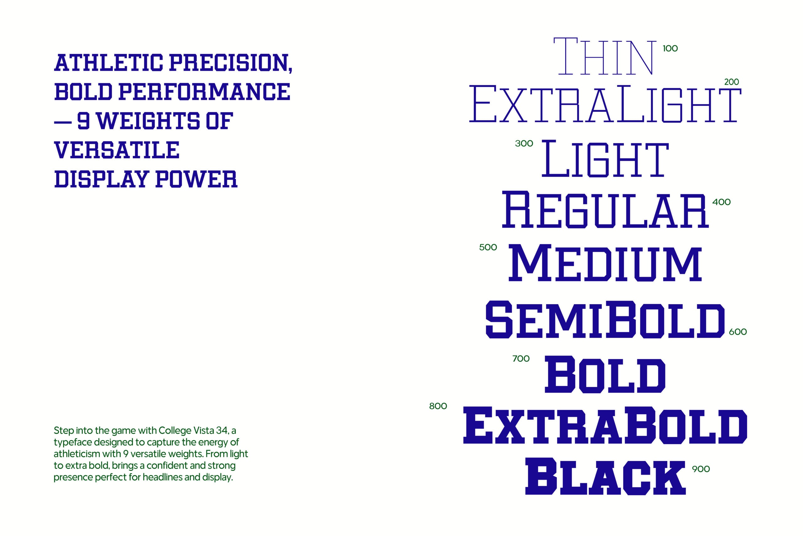 College Vista 34 typeface showing all 9 weights from thin to extrabold in bold blue