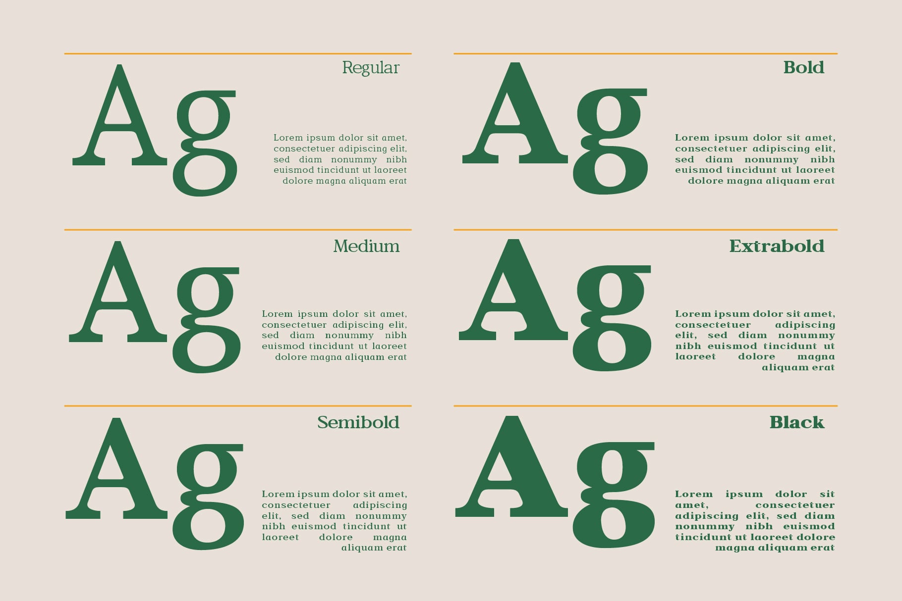 Serif font weight variations from regular to black with sample text layouts