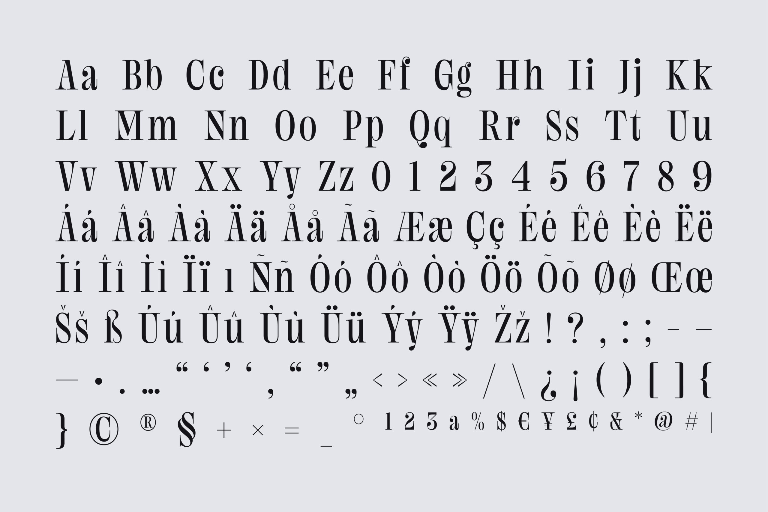 Serif typeface showing full character set with uppercase, lowercase, numbers, accents, symbols on light gray background