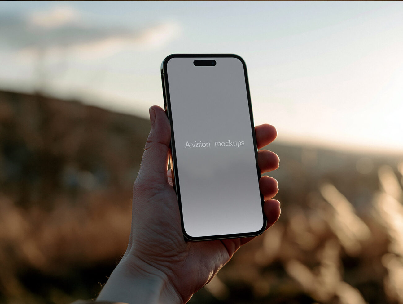 Hand holding black iPhone 14 Pro with blank screen against blurred mountain landscape at sunset