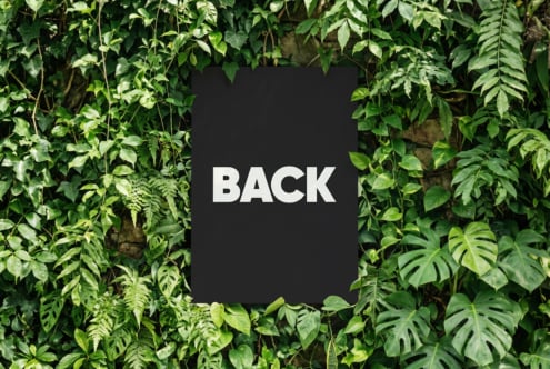 Black phone mockup surrounded by lush green foliage with vines