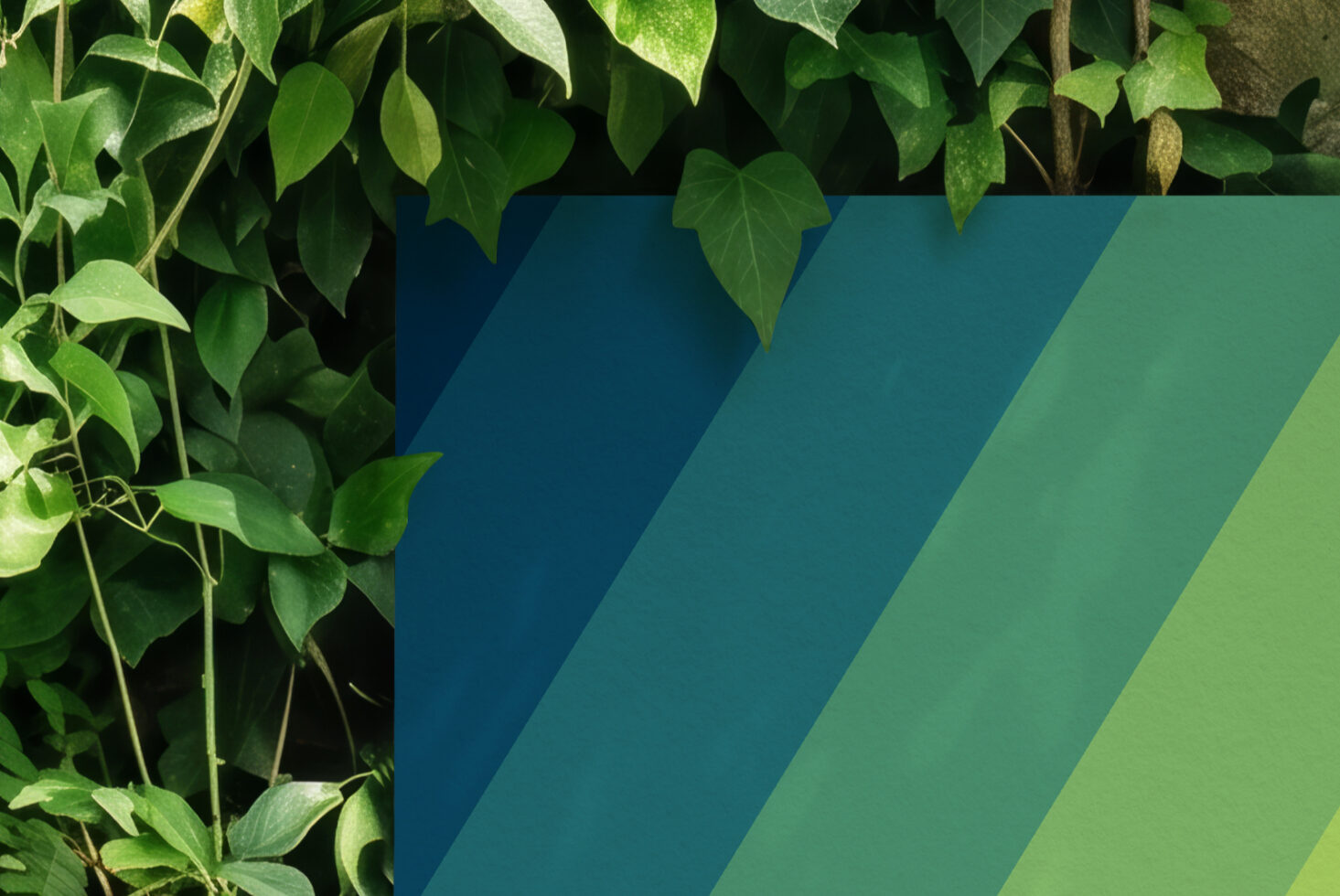 Lush ivy vines draping over diagonal color blocks shifting from deep teal to lime green