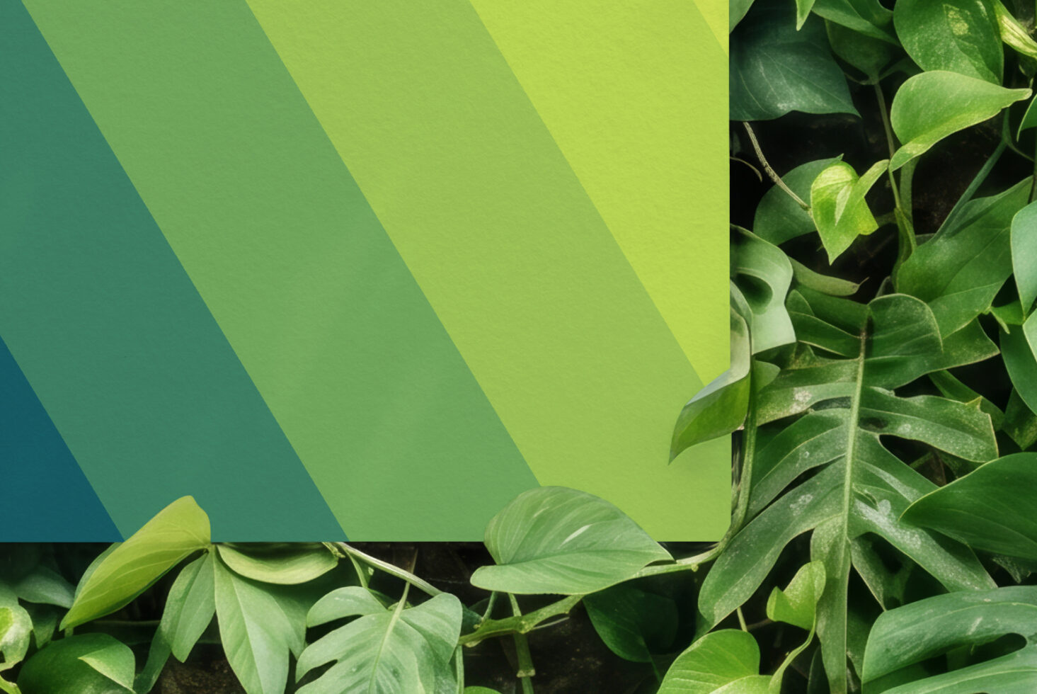 Fresh green gradient background with creeping plant vines framing edges naturally