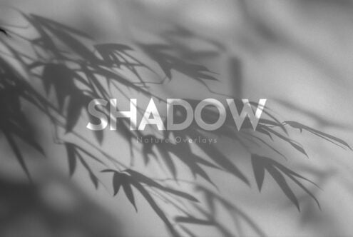 Soft leaf shadows cast across white background with "Shadow Nature Overlays" text overlay
