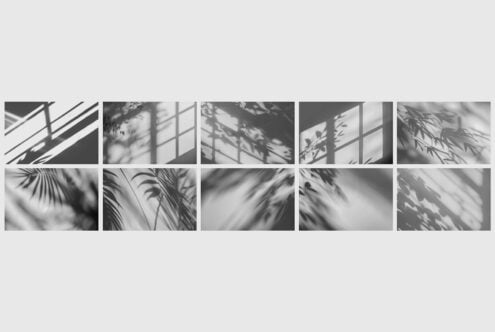 Grid of 10 black white shadow overlays showing plants, leaves, window blinds casting moody light effects
