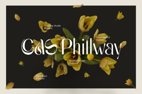Odd Philliway typeface display with yellow tulips scattered on dark background