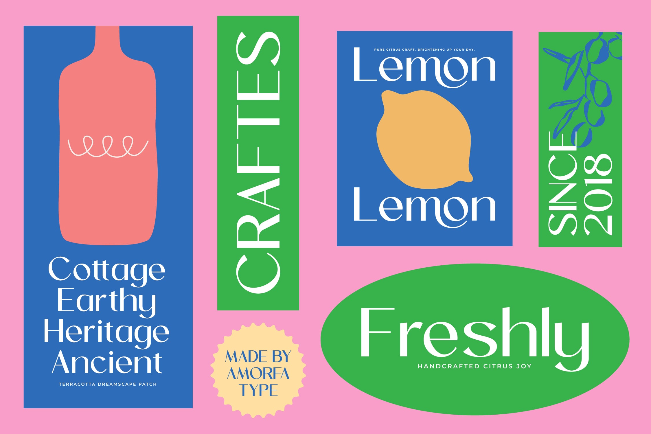 Colorful label mockups with citrus branding layouts featuring bold typography on blue, green backgrounds