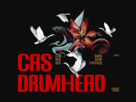 Cas Drumhead sans serif typeface with flying cranes, red text on black background, 2022