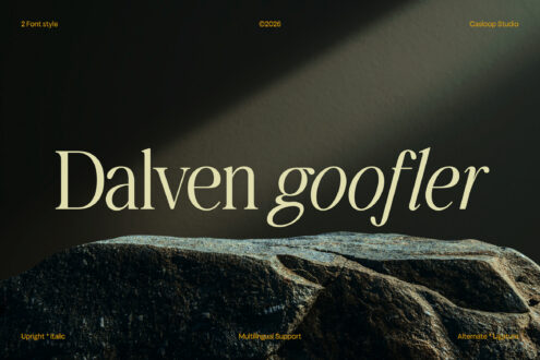 Dalven goofler serif font displayed in cream over dark moody stone backdrop