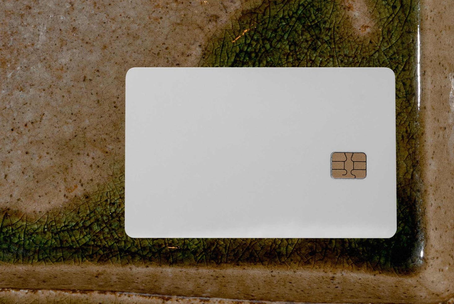 Blank credit card mockup on weathered concrete with moss growing nearby