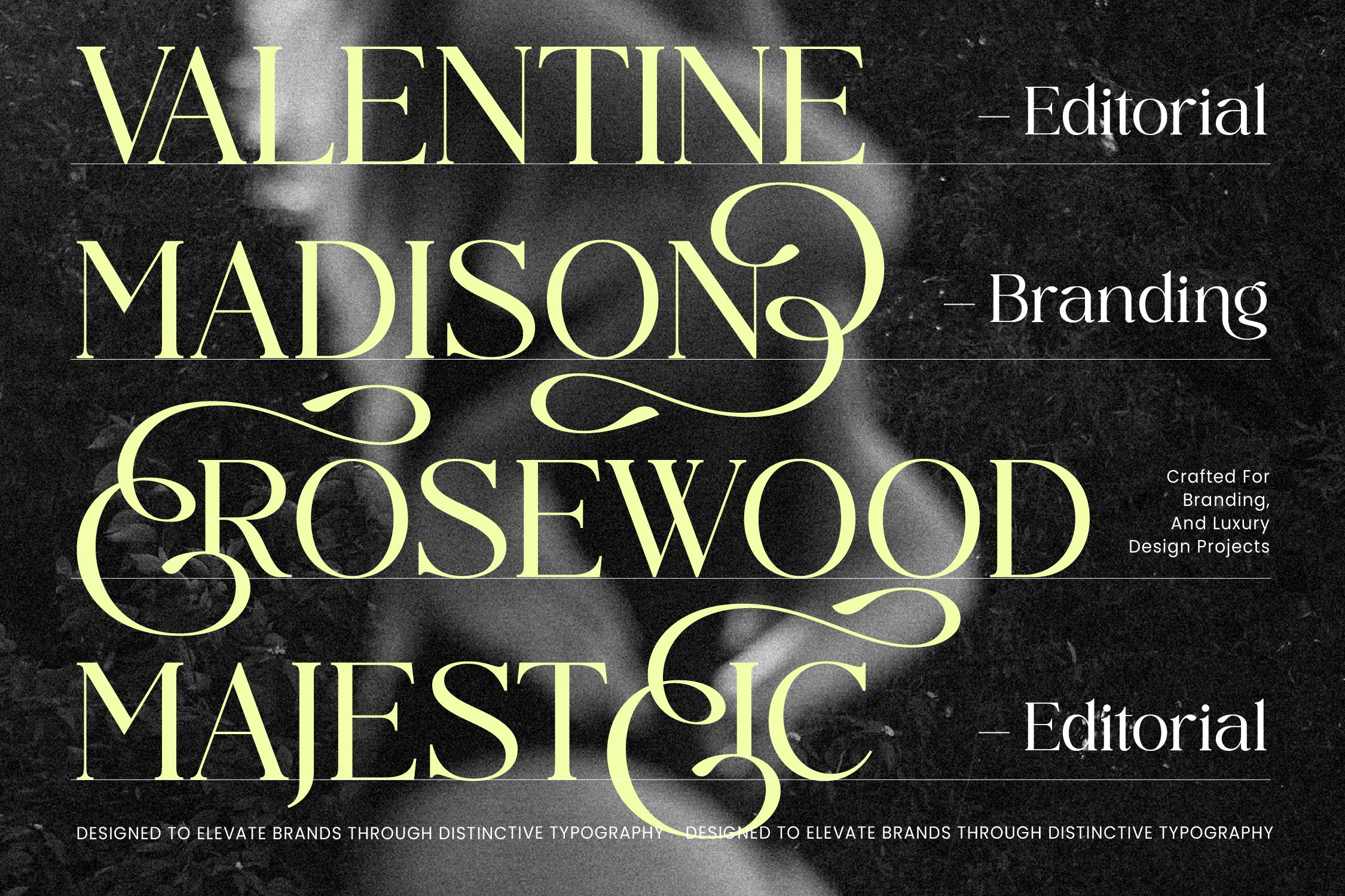 Elegant serif font display with gold lettering on dark textured background showing Valentine, Madison, Rosewood, Majestic