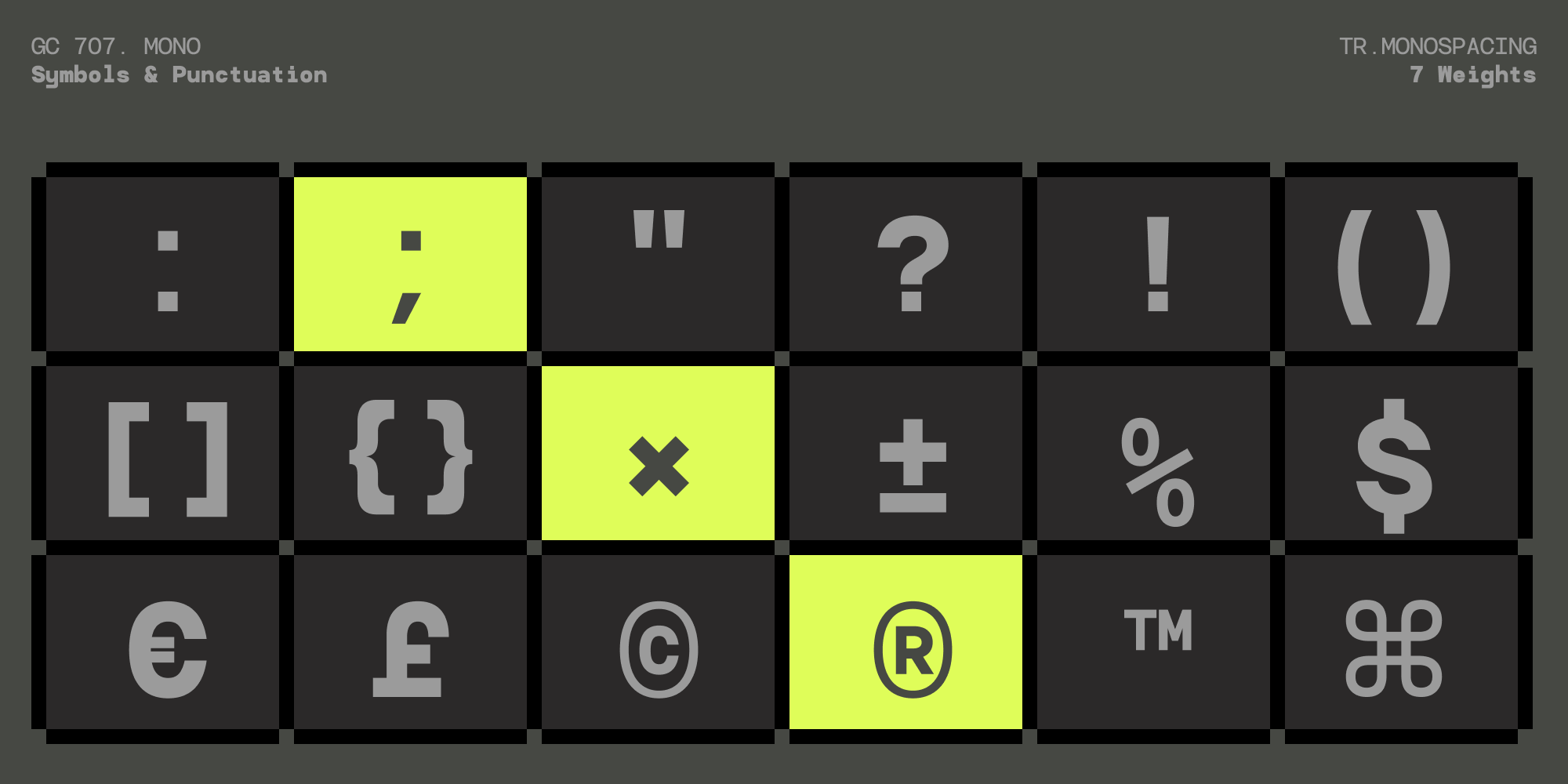 Monospace symbol font showing punctuation, brackets, currency symbols, copyright marks in 7 weights
