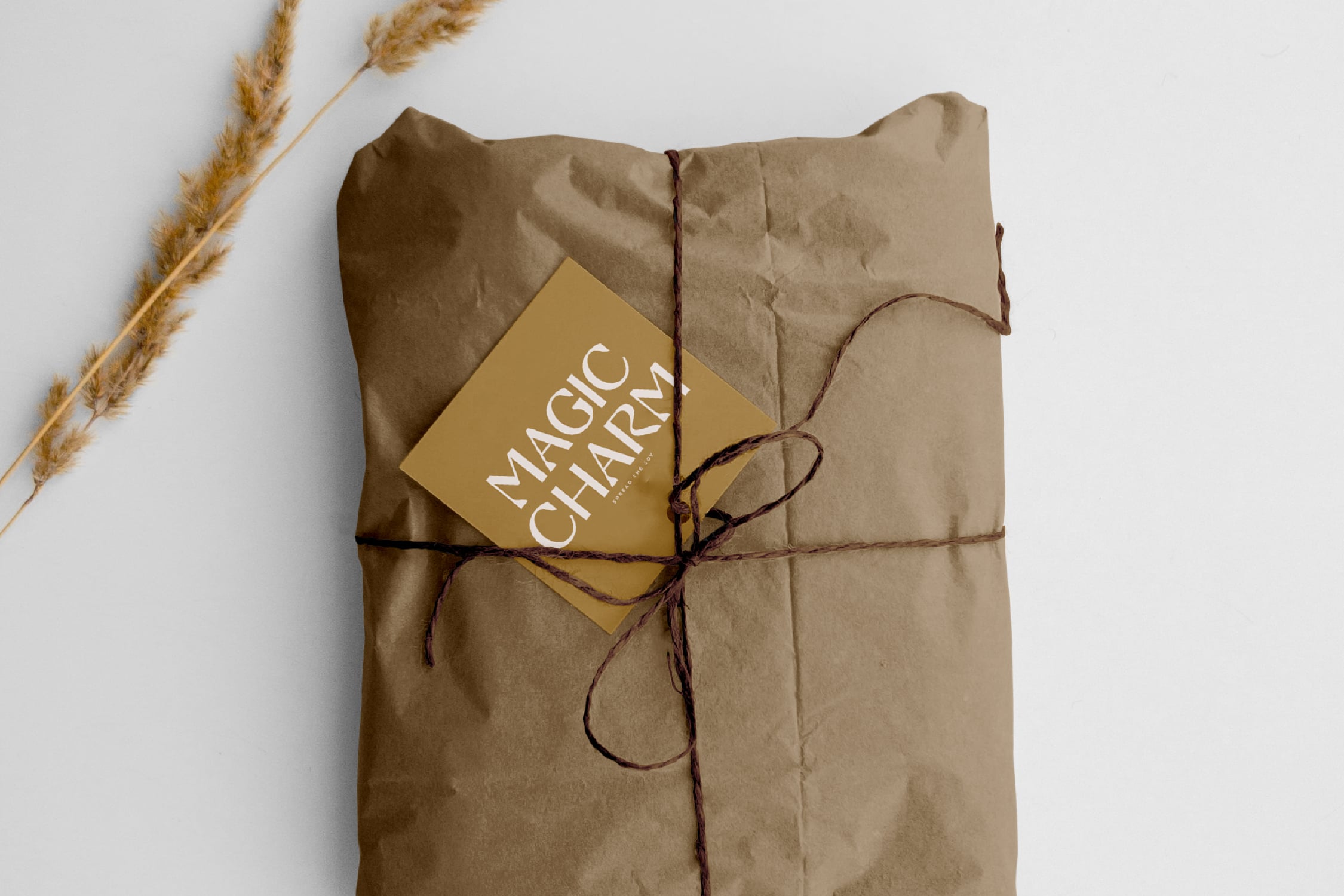 Kraft paper package tied with twine, gold label with Magic Charity text, dried pampas grass