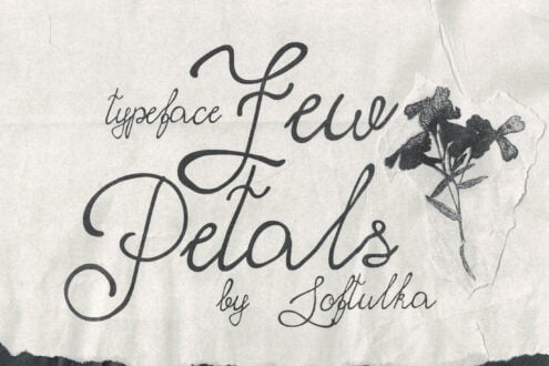 Elegant script typeface sample with flowing letterforms on textured paper with botanical illustration