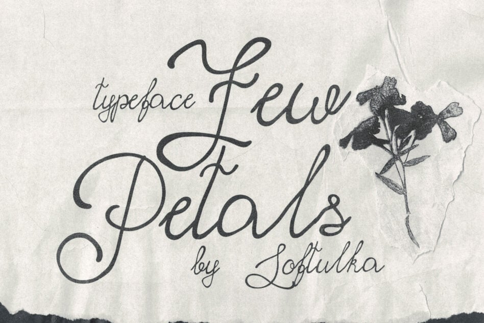 Elegant script typeface sample with flowing letterforms on textured paper with botanical illustration