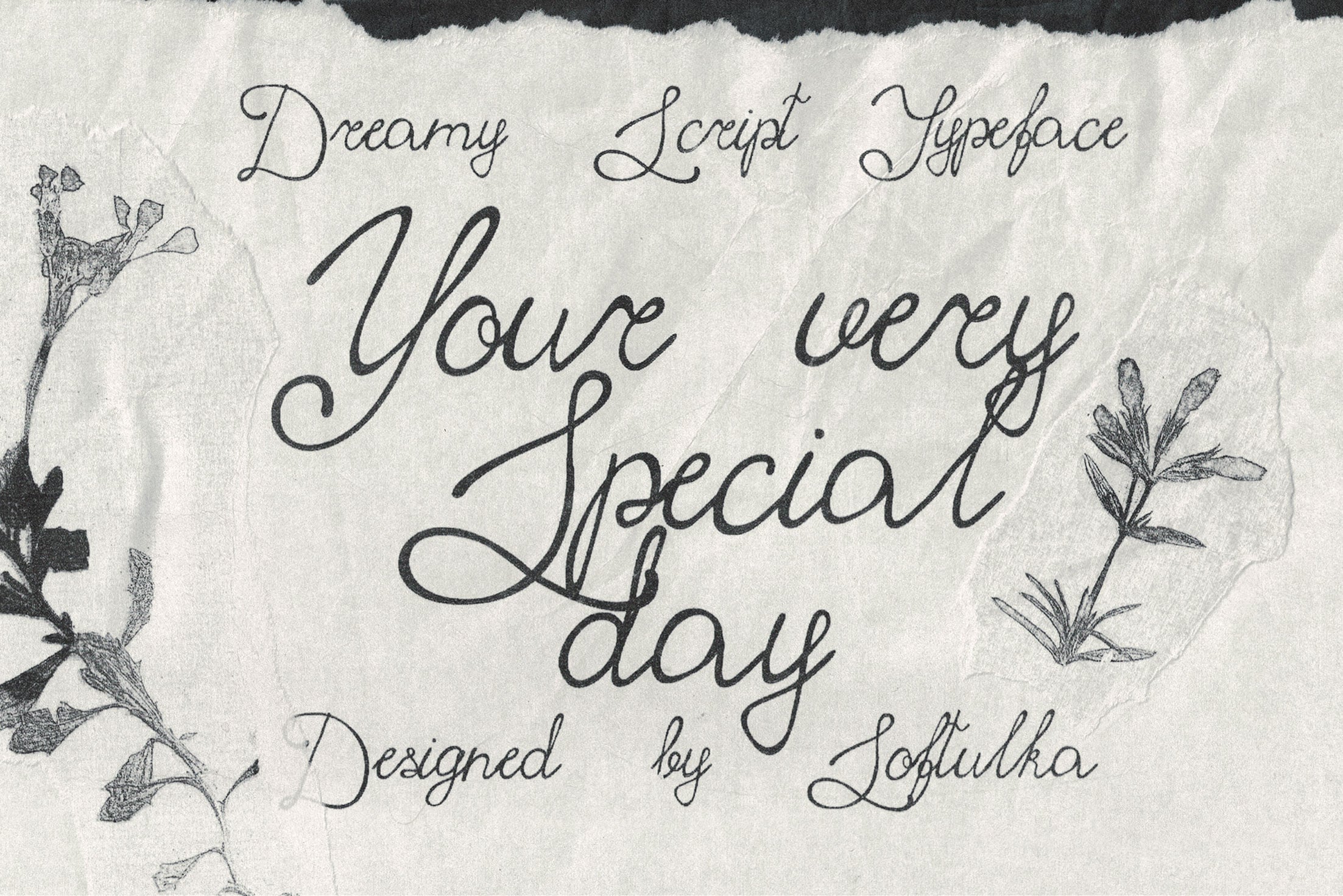Dreamy Script Typeface with delicate botanical line drawings on textured paper background