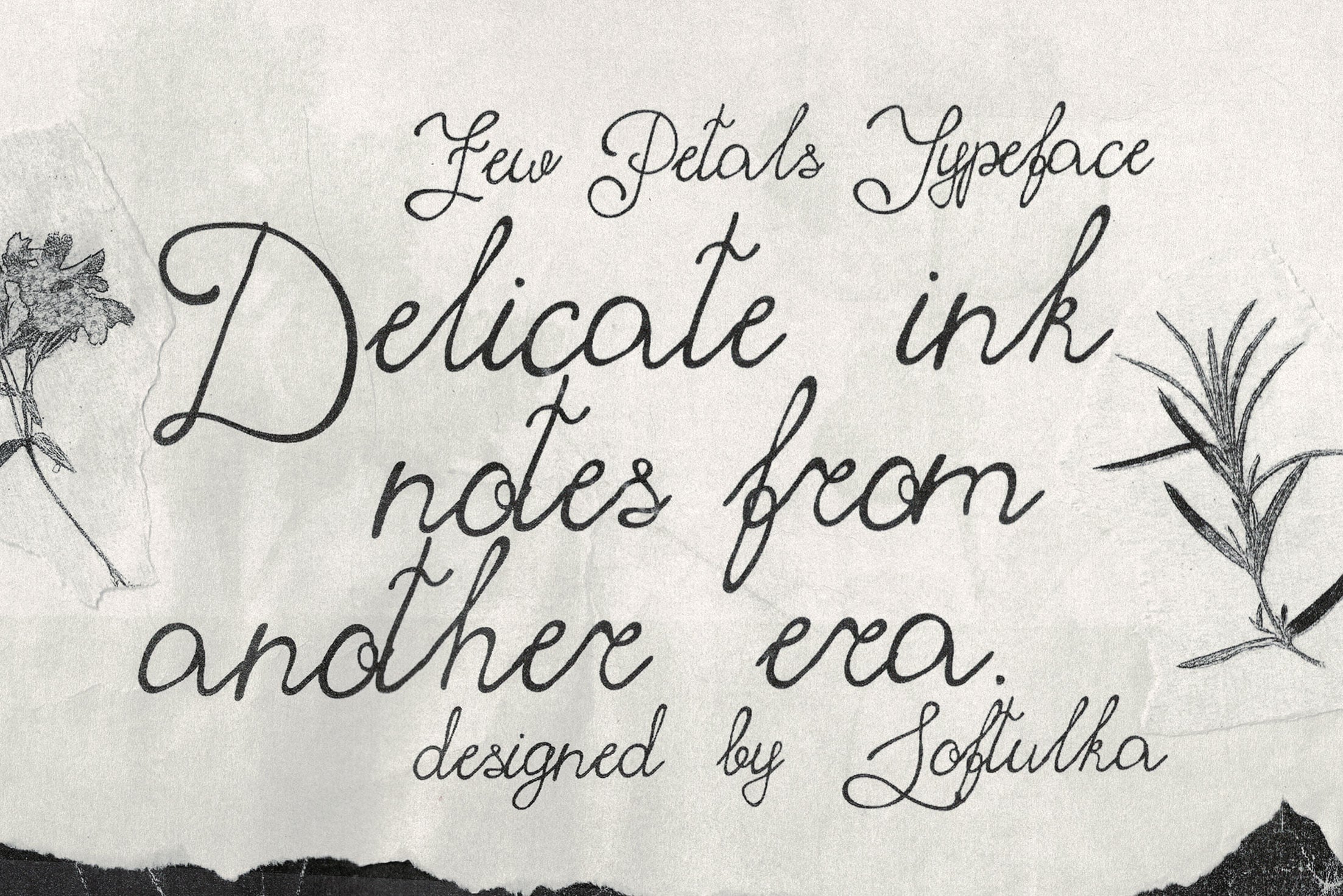 Delicate script font with thin strokes, botanical sketches on aged paper texture