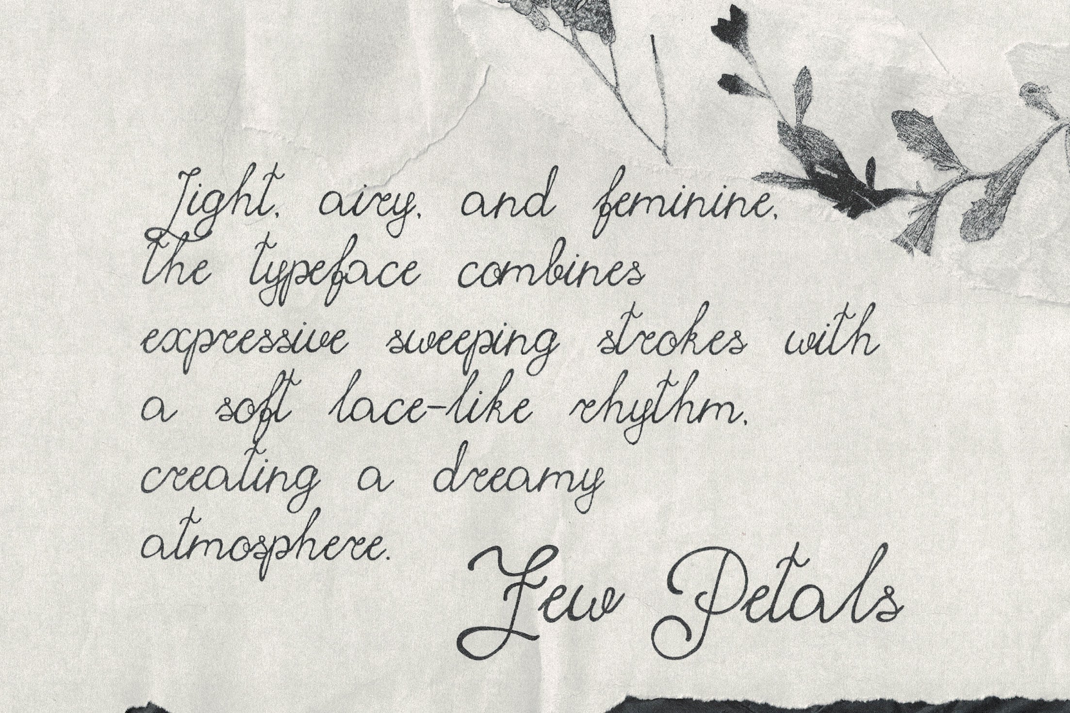Handwritten script font sample showing flowing cursive letters with delicate botanical sketches on textured paper