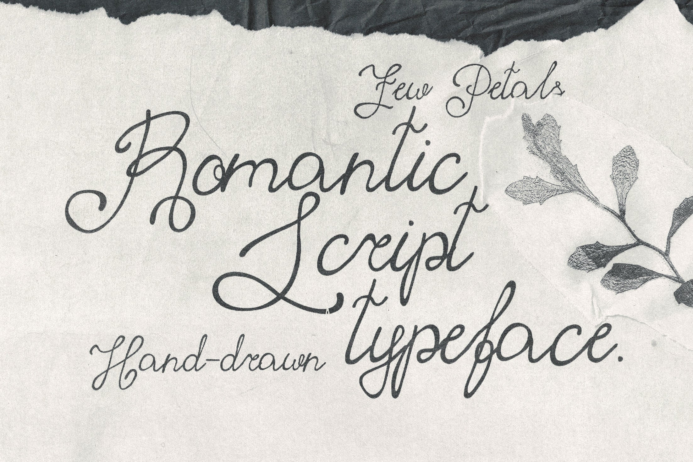 Elegant cursive script font with botanical leaf illustrations on textured paper background