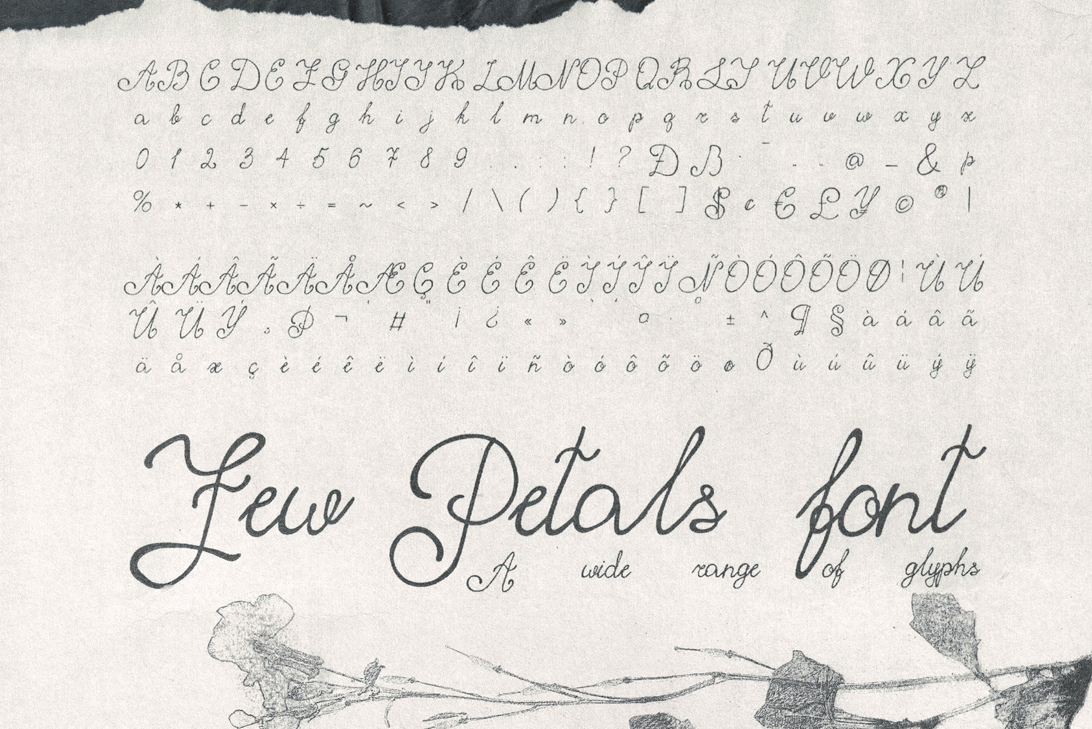 Elegant script font with full character set, accents, numbers, symbols shown on textured paper with dried flowers