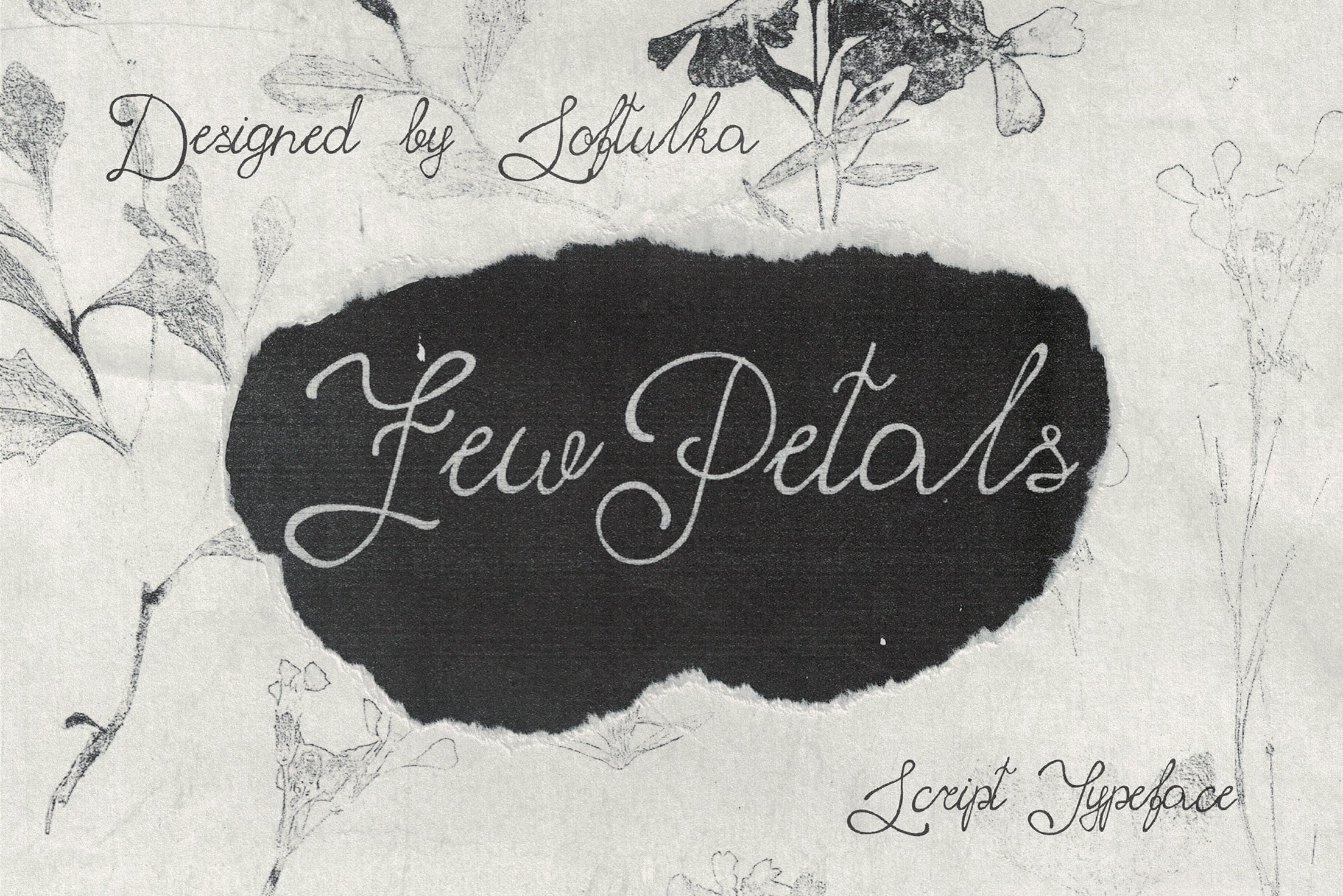 Elegant script typeface with delicate botanical sketches on textured cream background with black brush stroke label