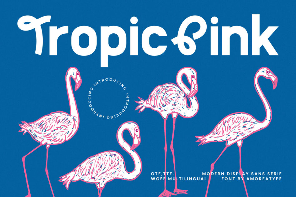 Tropic Sink font display with pink sketched flamingos on bright blue background