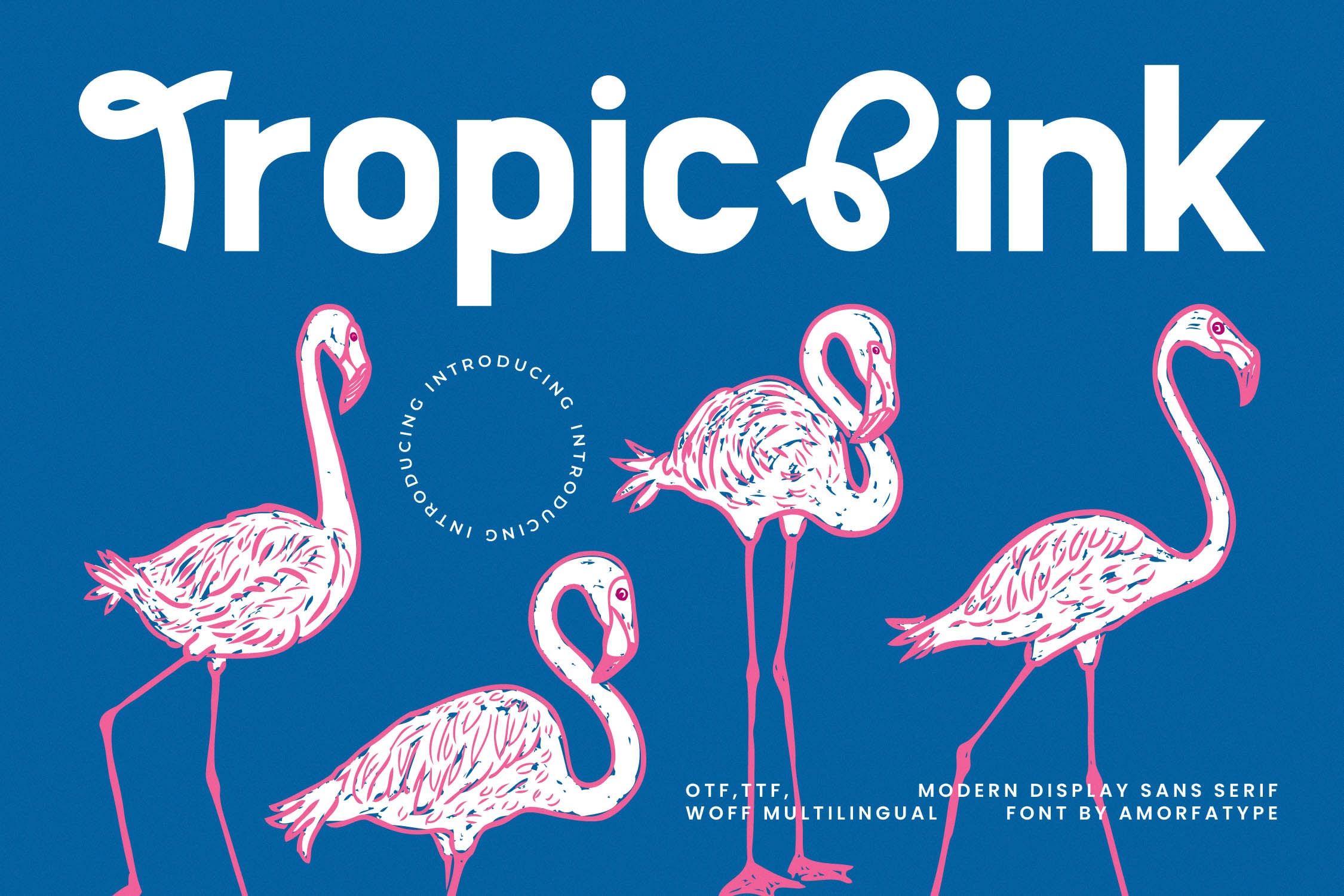 Tropic Sink font display with pink sketched flamingos on bright blue background