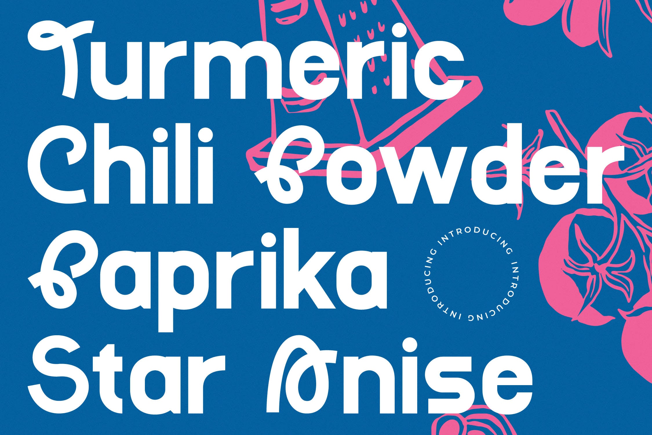 Bold sans serif font with curved letterforms on deep blue background with hot pink botanical illustrations