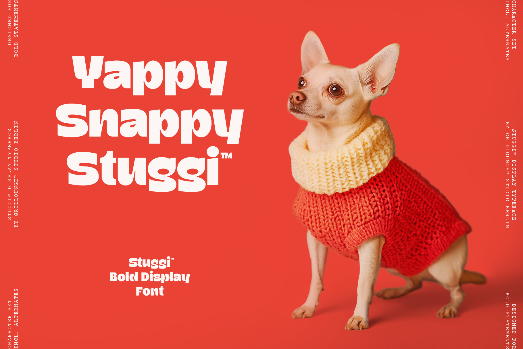 Cream chihuahua in red knit sweater with cream collar against bright red background with bold white text