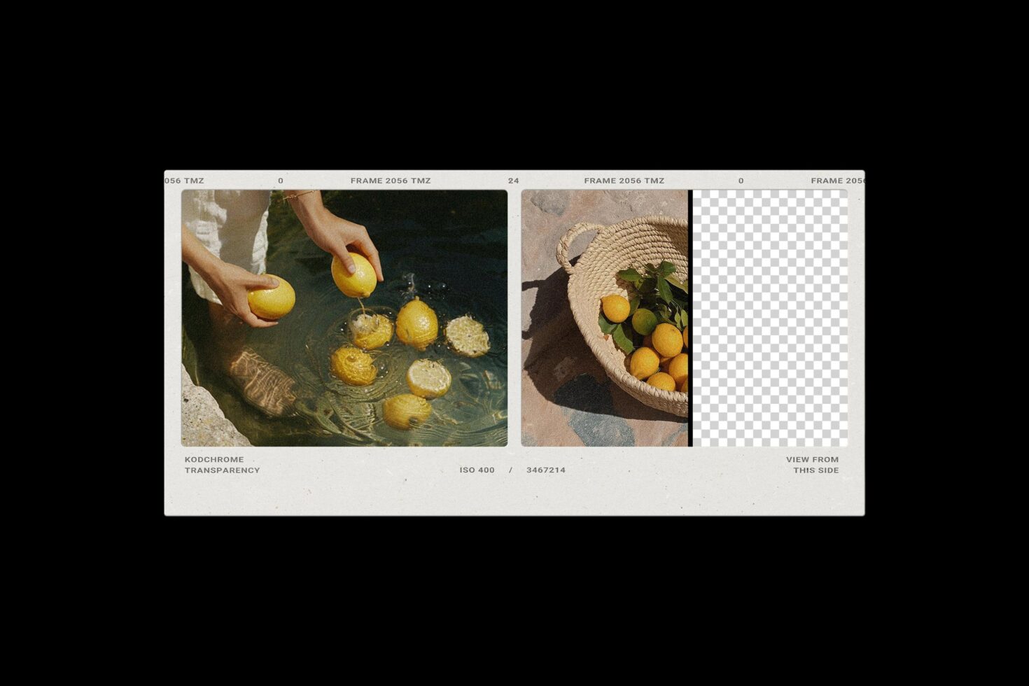 Film strip mockup showing hands with lemons, basket of citrus fruit, kodachrome style photography template