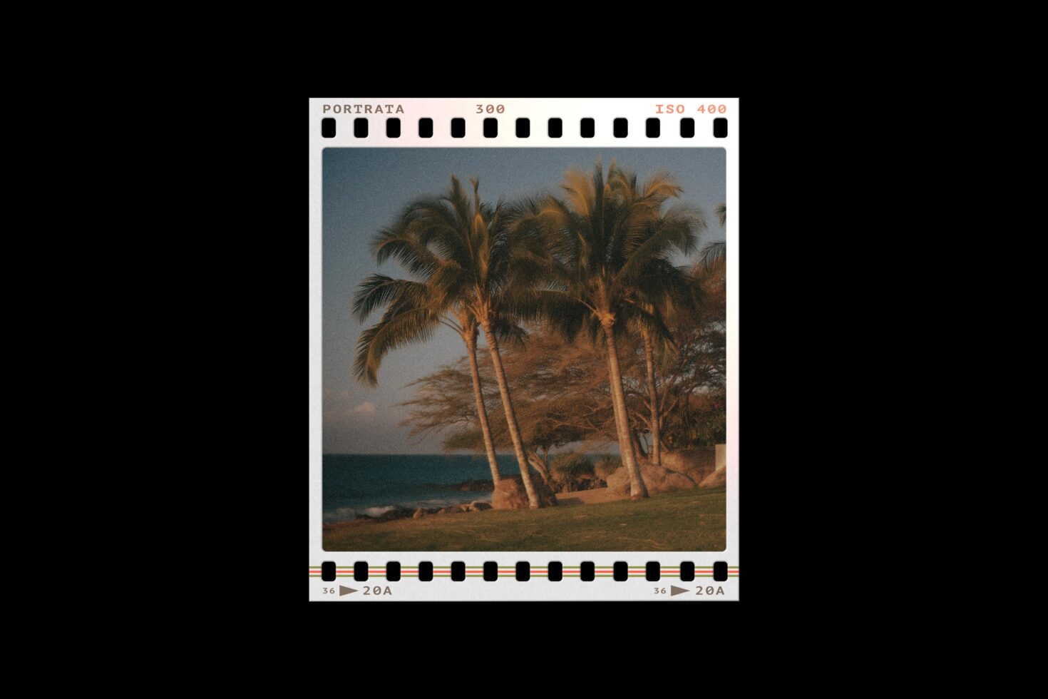 Film strip mockup showing beach scene with palm trees, ocean, retro analog frame