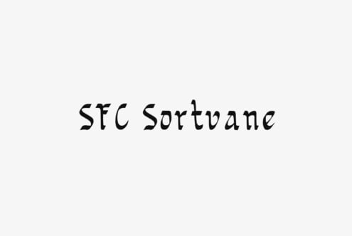 SFC Sortwane typeface with quirky, hand-drawn letterforms on light background