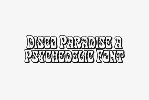 Retro groovy outline font with organic wavy letterforms on light background