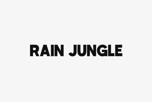 Bold black sans serif type reading "RAIN JUNGLE" centered on light gray background