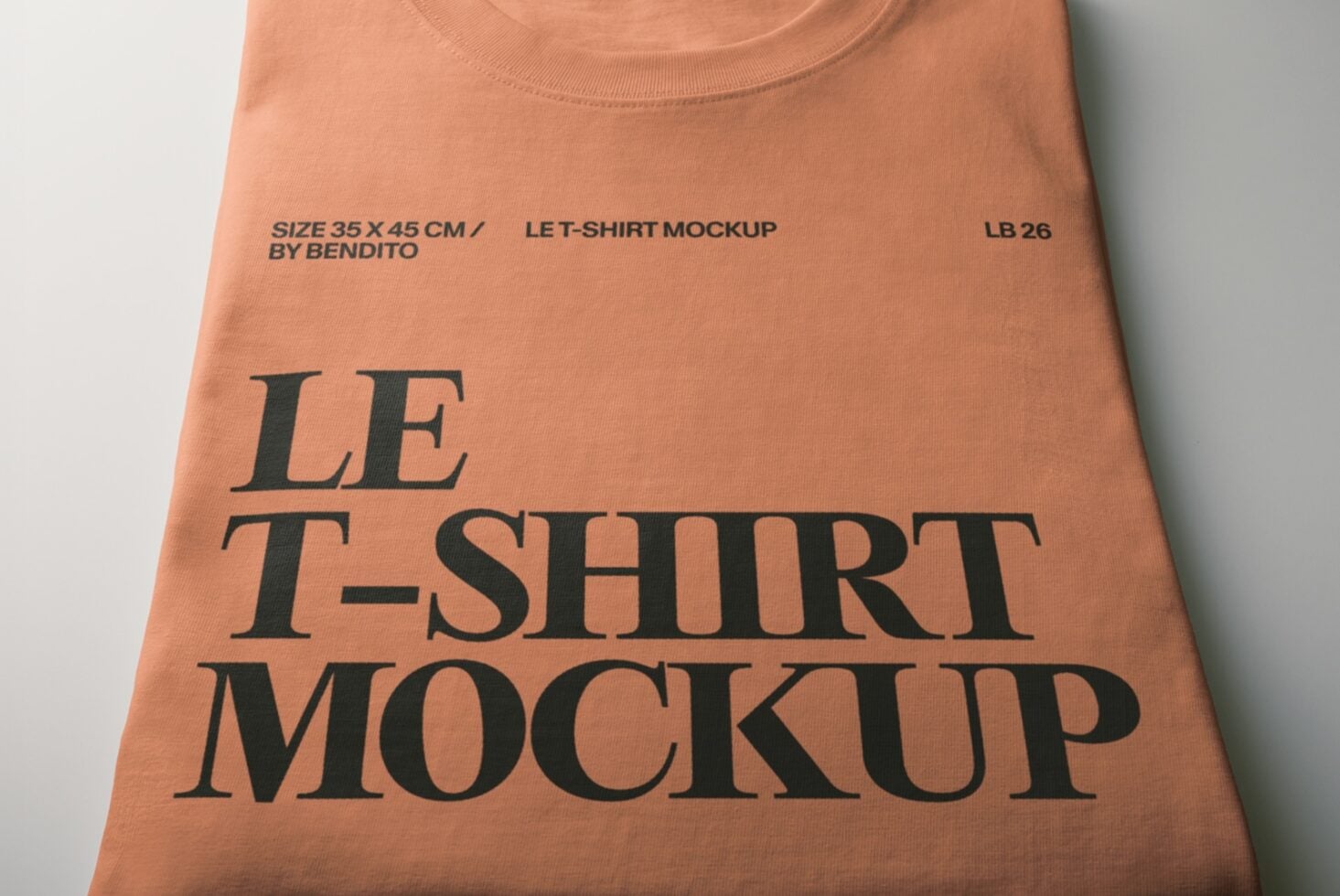 Terracotta tee mockup with large serif typography showing design placement on fabric