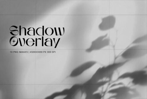 Soft plant shadows cast across white wall with serif typography displaying shadow overlay text