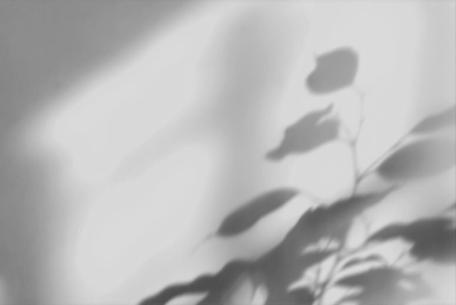 Soft focused plant leaves casting delicate shadows on neutral background