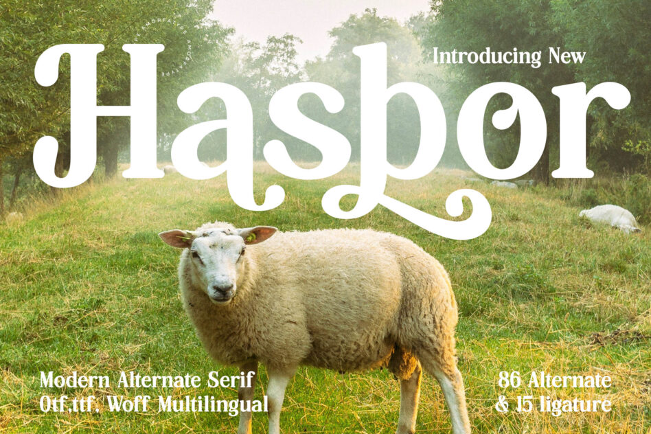 Hagbor serif font with sheep in pastoral field, 86 alternates included