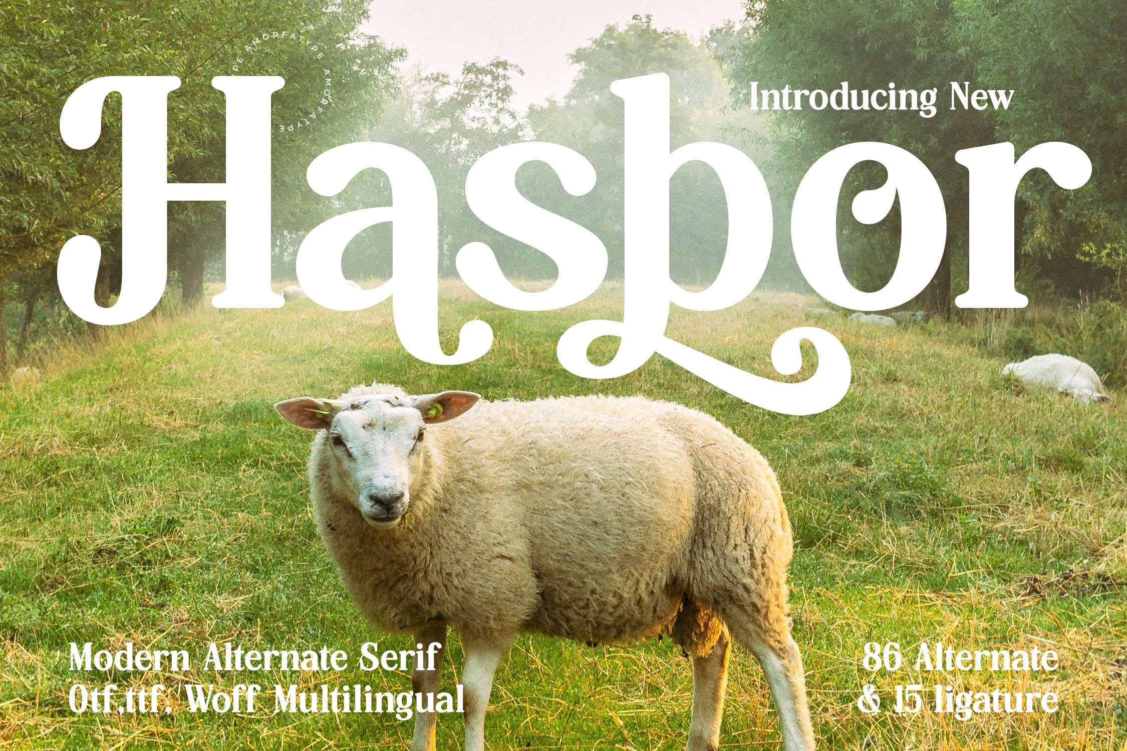 Hagbor serif font with sheep in pastoral field, 86 alternates included