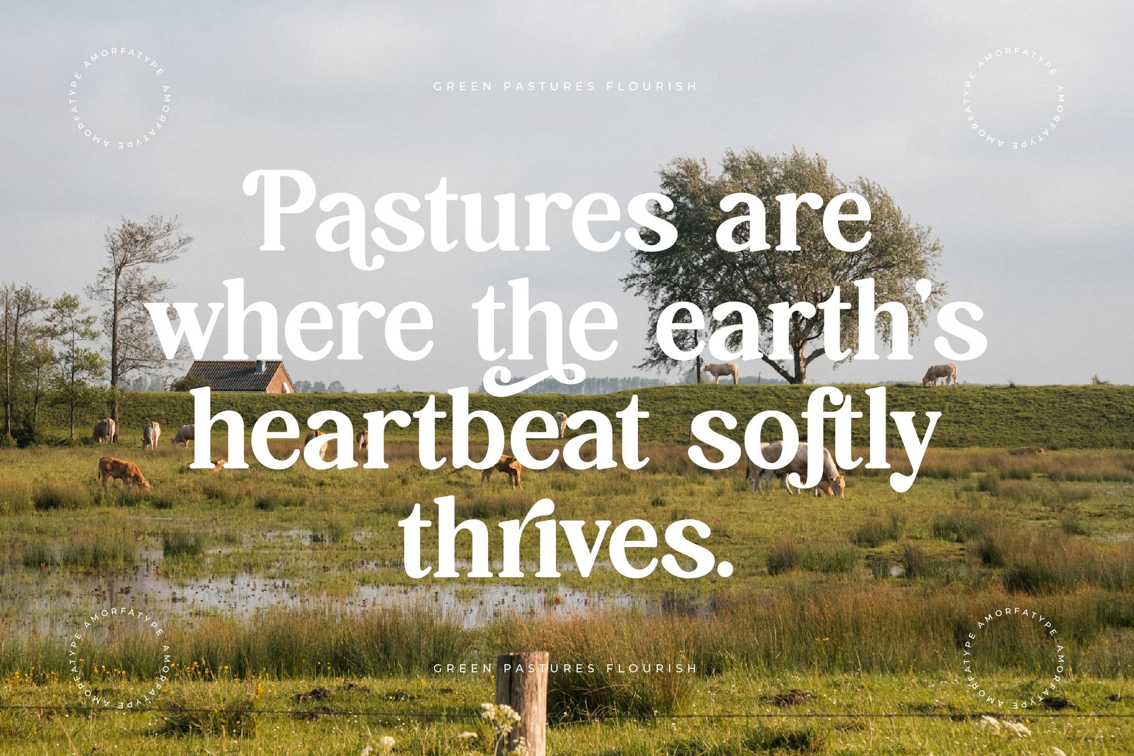 Pastoral landscape with grazing cattle, trees, wetlands, overlaid with white serif typography about earth's heartbeat