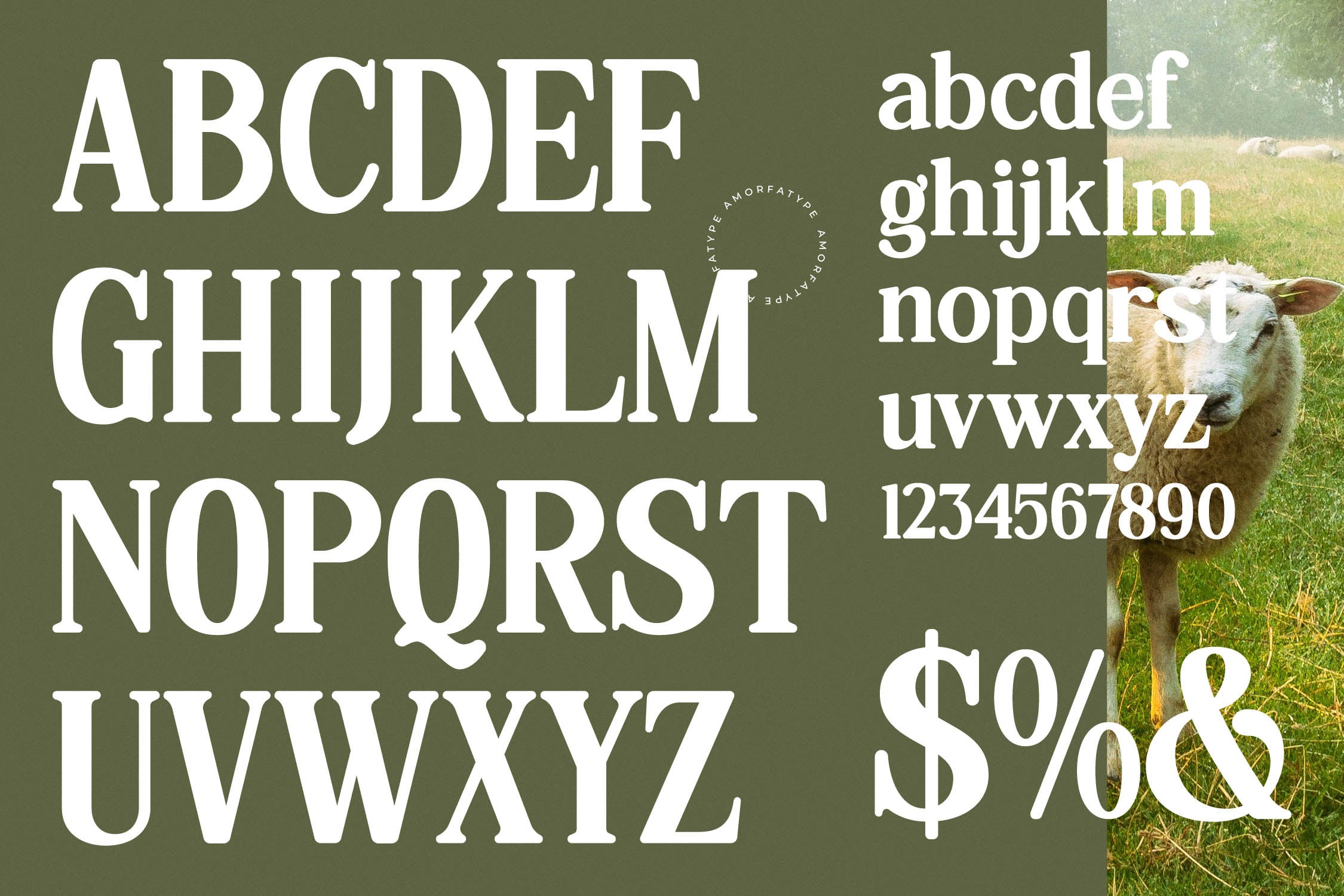 Serif font display showing full alphabet, numbers, symbols with goat photo on sage green background