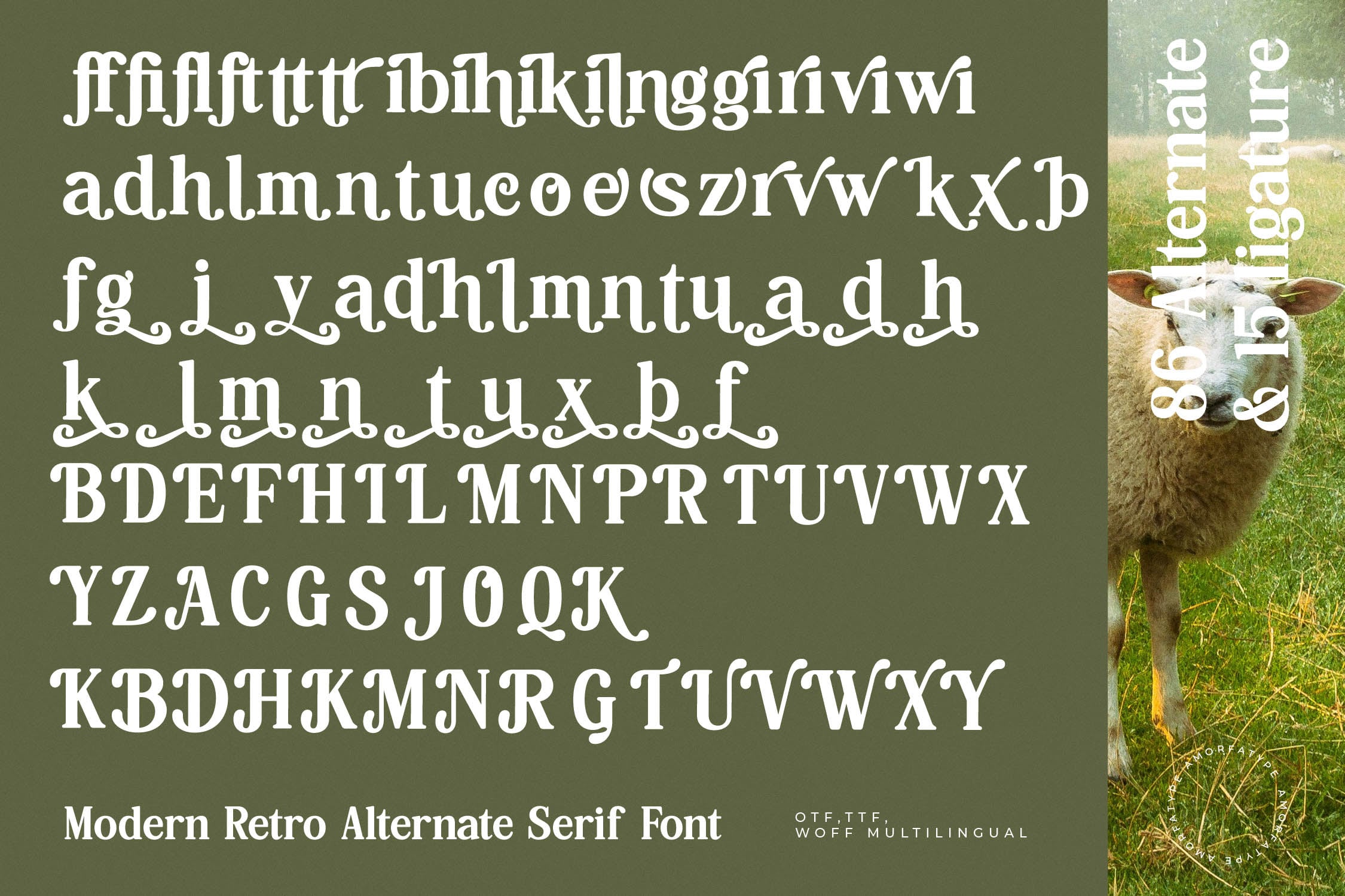 Retro serif font with decorative alternates shown on olive green backdrop with sheep