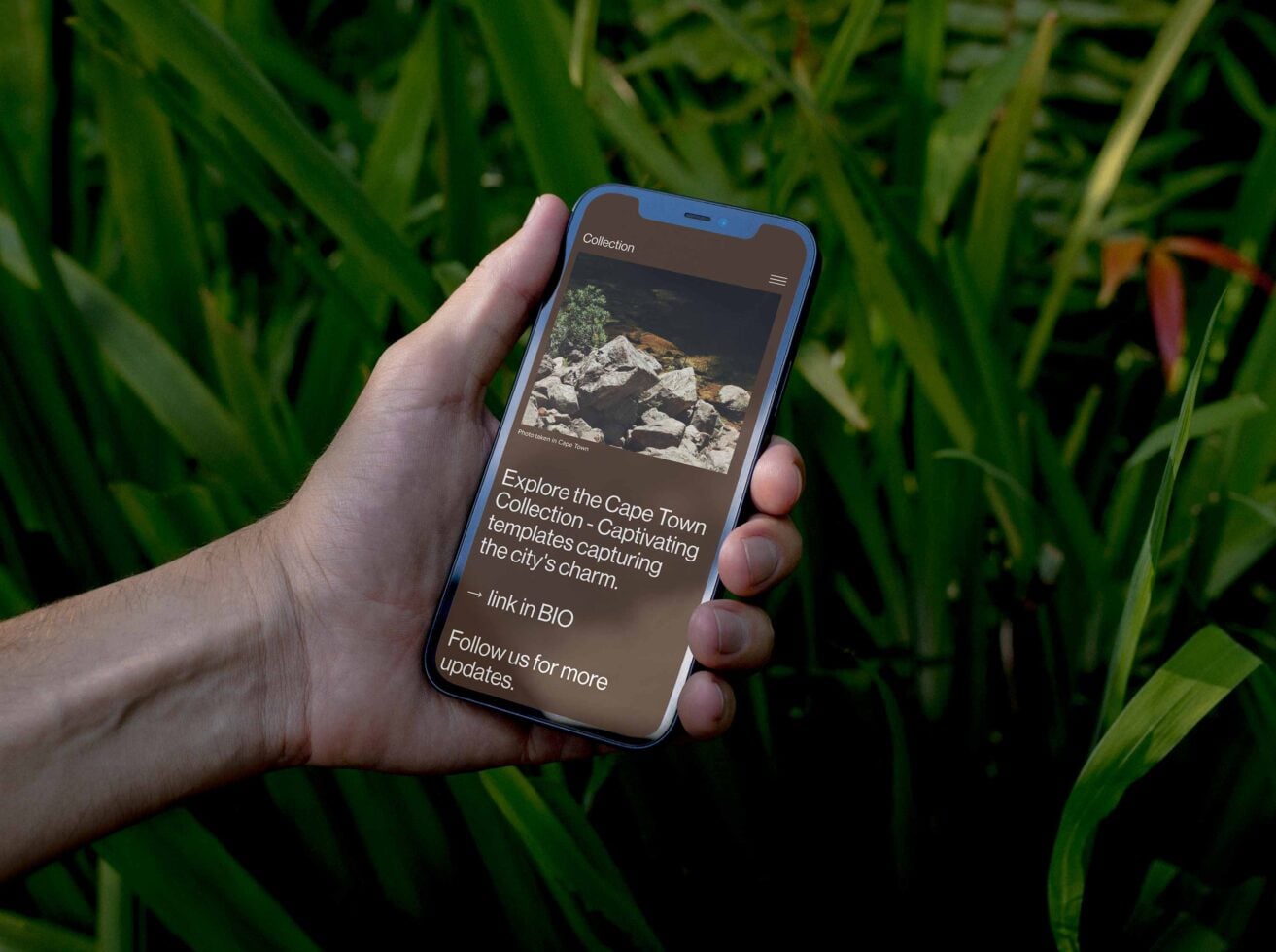 Hand holding blue iPhone showing travel collection UI with Cape Town landscape photo against green foliage background