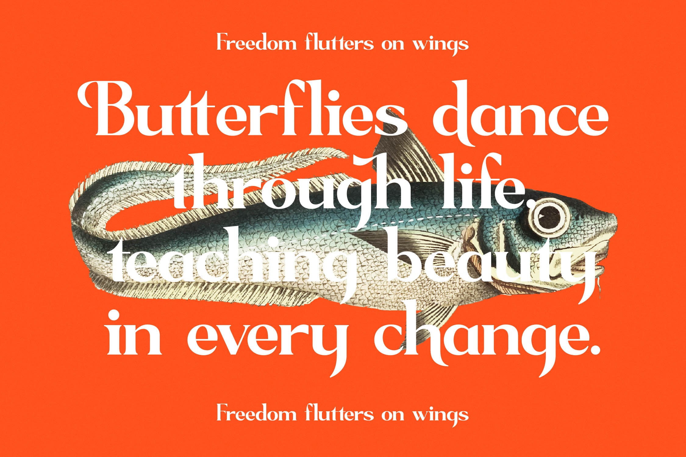 Vintage fish illustration with overlaid serif typography on bright orange background
