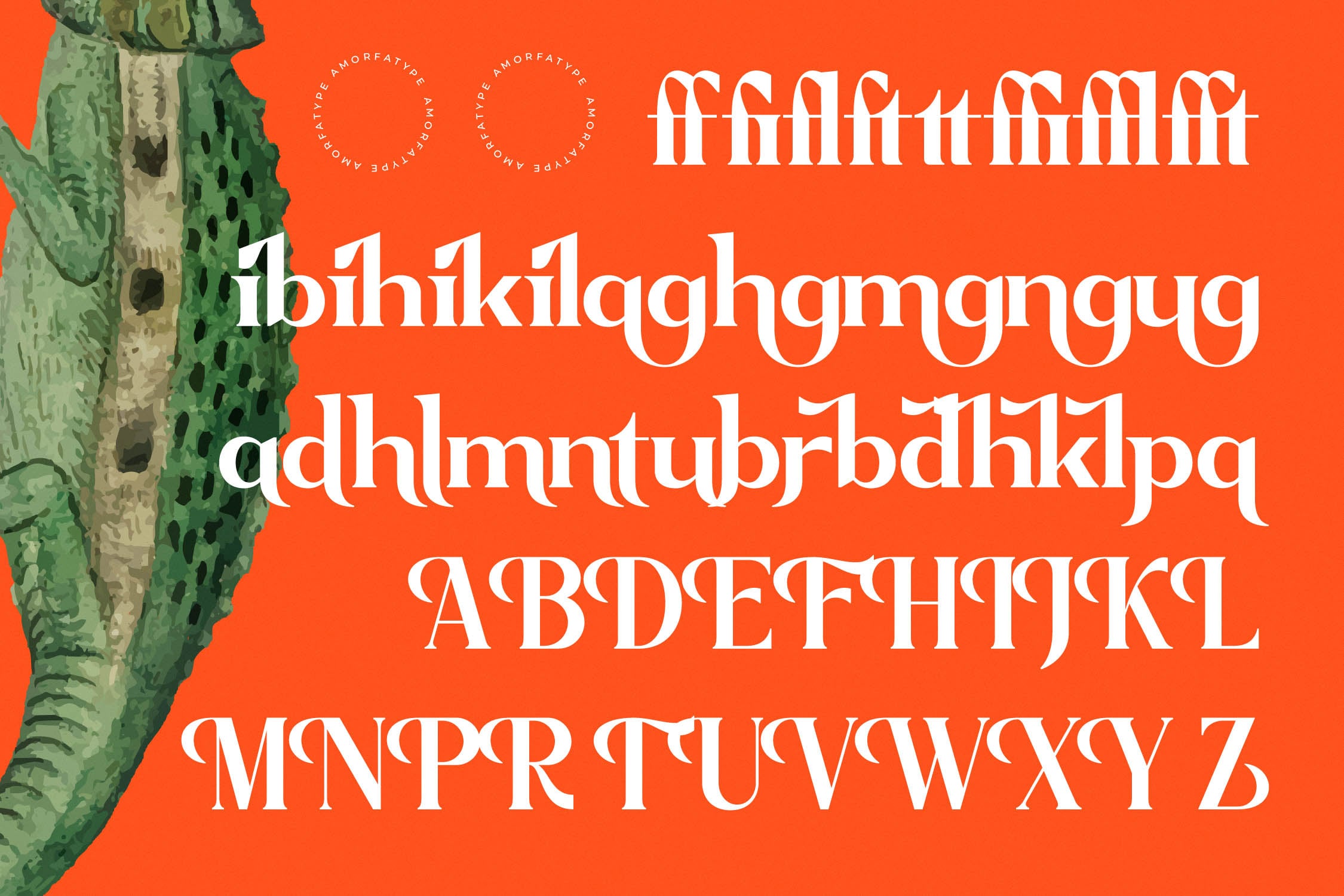 Ornate serif font display with elegant letterforms on bright orange background with cactus illustration