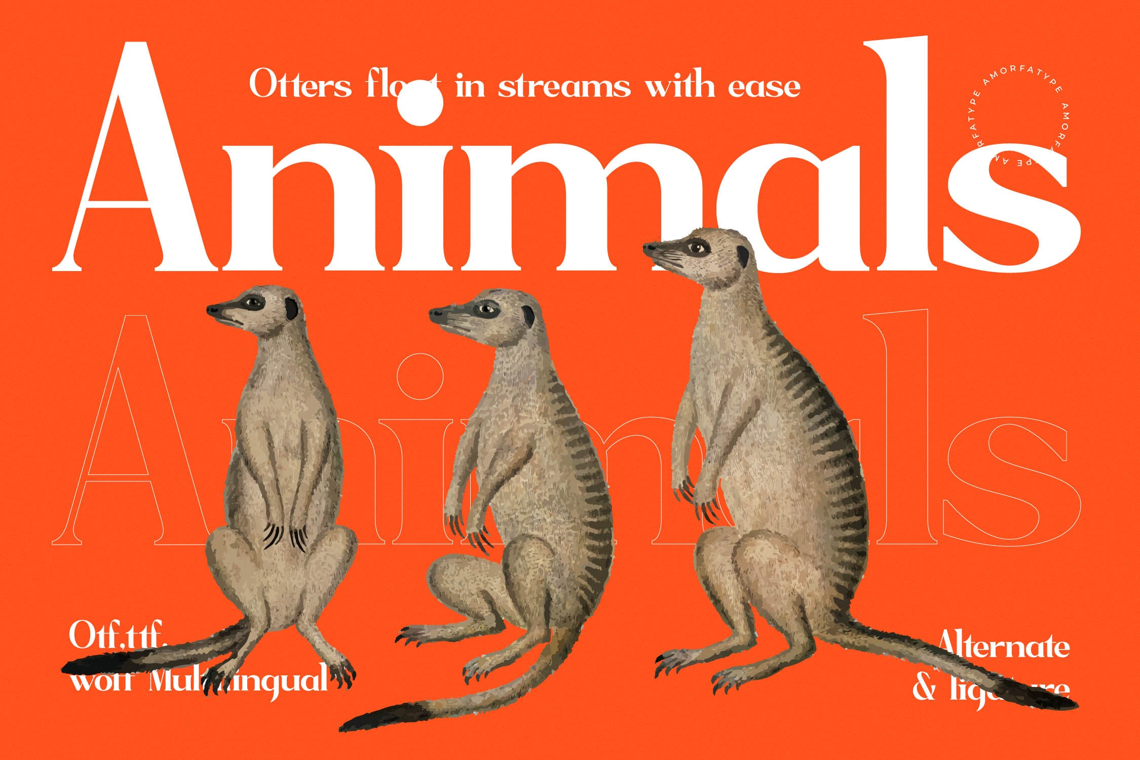 Vibrant orange poster with three meerkats standing upright, bold serif typography layered behind them