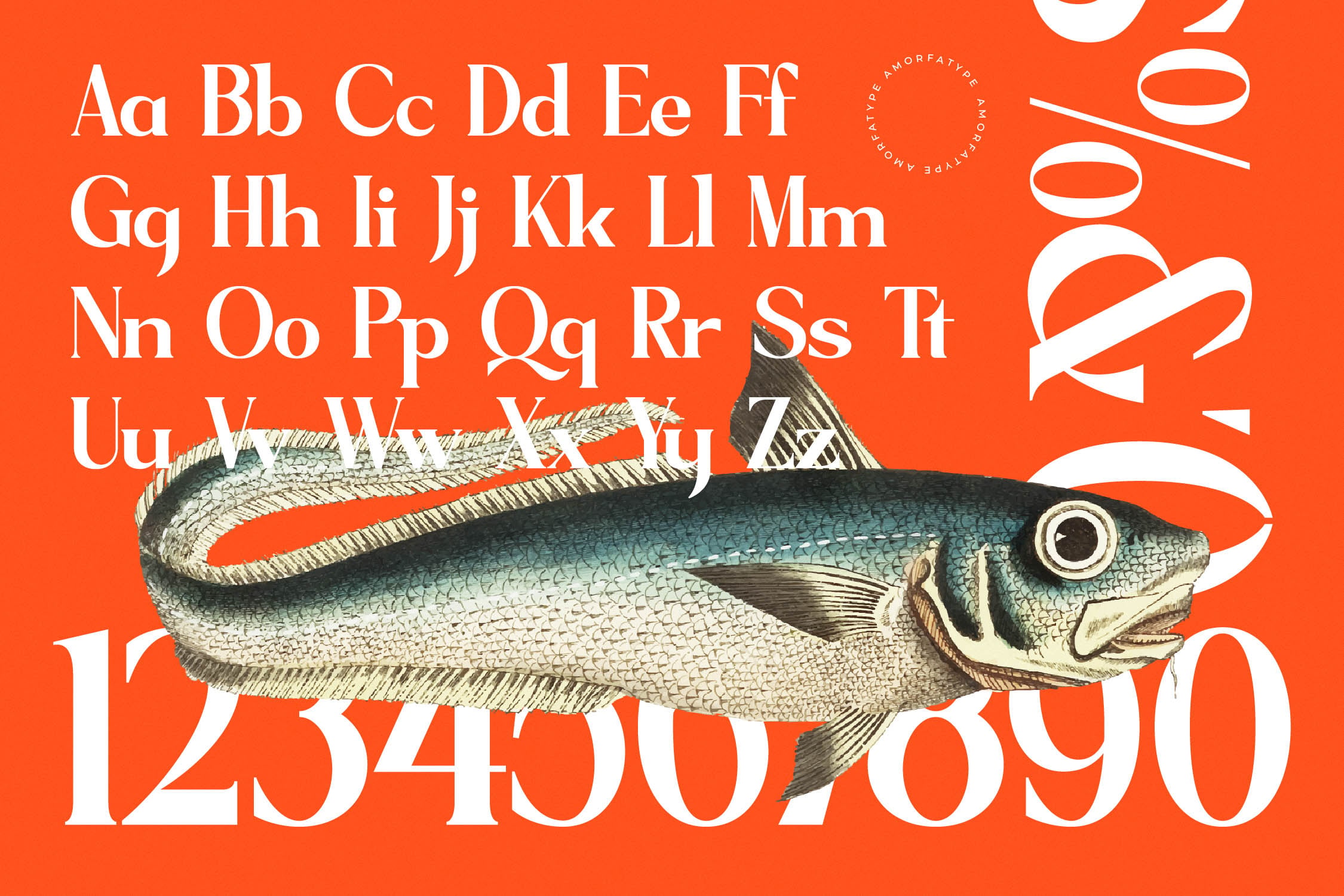 Serif font specimen with vintage fish illustration on bright orange background