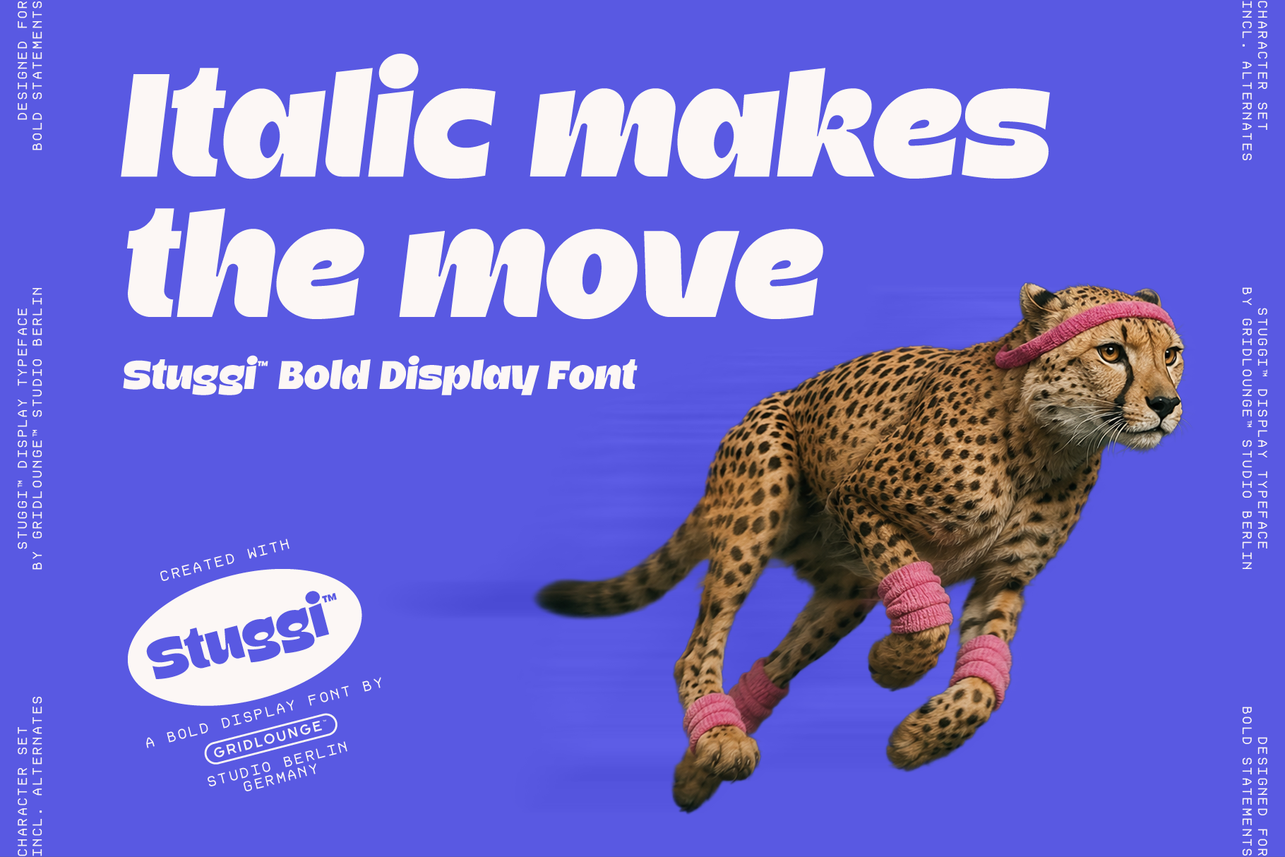 Cheetah in pink sweatbands showing off Stuggi Bold italic typeface on blue background